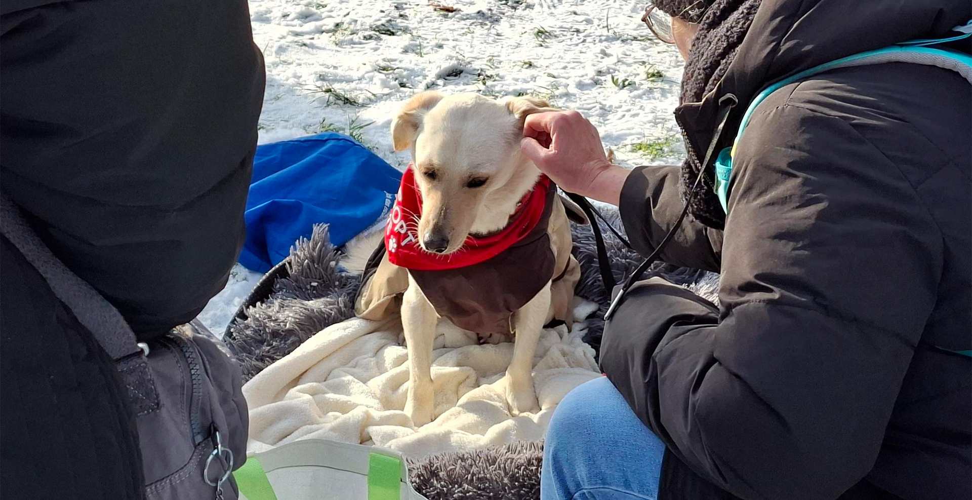 "Interview" mit einem Teilnehmer des "Bark Date"