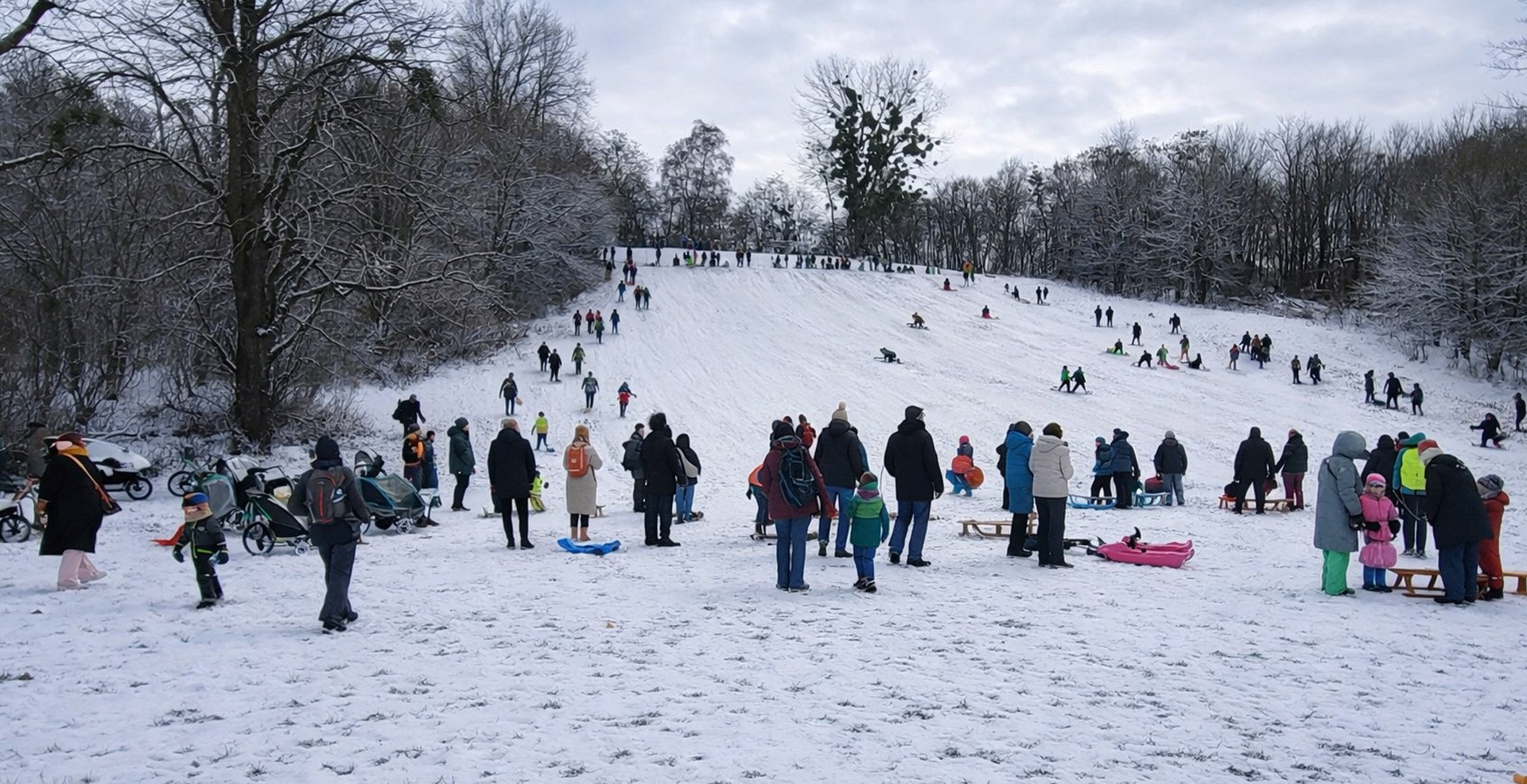 Schlittenfahren am Pilzberg im Beethovenpark