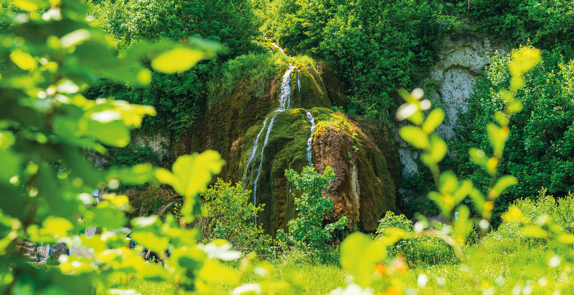 Ein kleiner Wasserfall fließt über moosbewachsene Felsen, umgeben von dichtem, leuchtend grünem Laub in einer natürlichen Waldlandschaft.